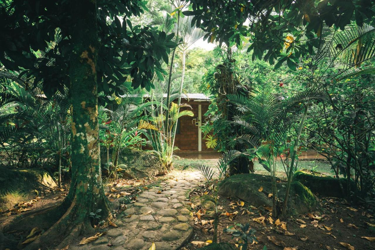 Huingos Eco Lodge Tarapoto Kültér fotó