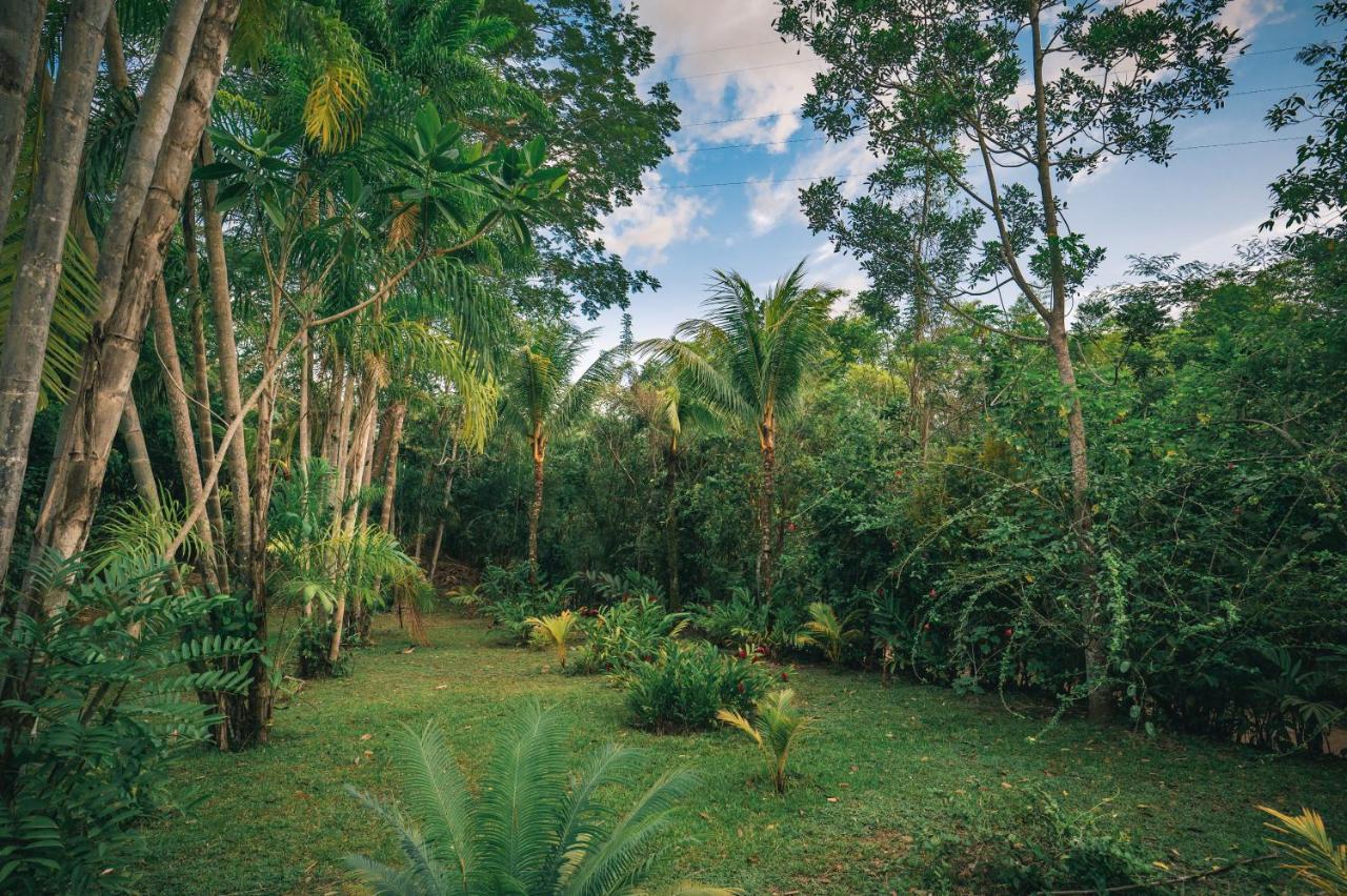Huingos Eco Lodge Tarapoto Kültér fotó