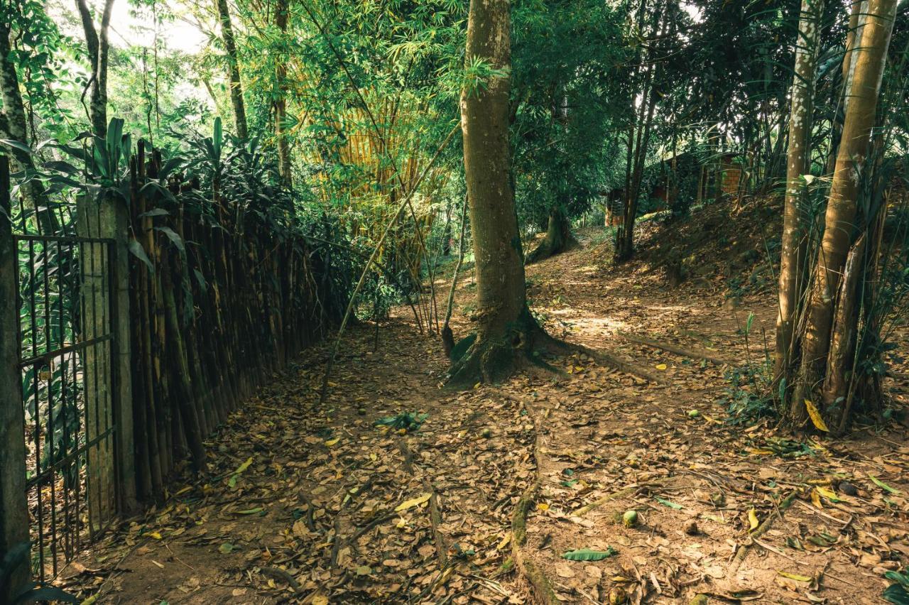 Huingos Eco Lodge Tarapoto Kültér fotó