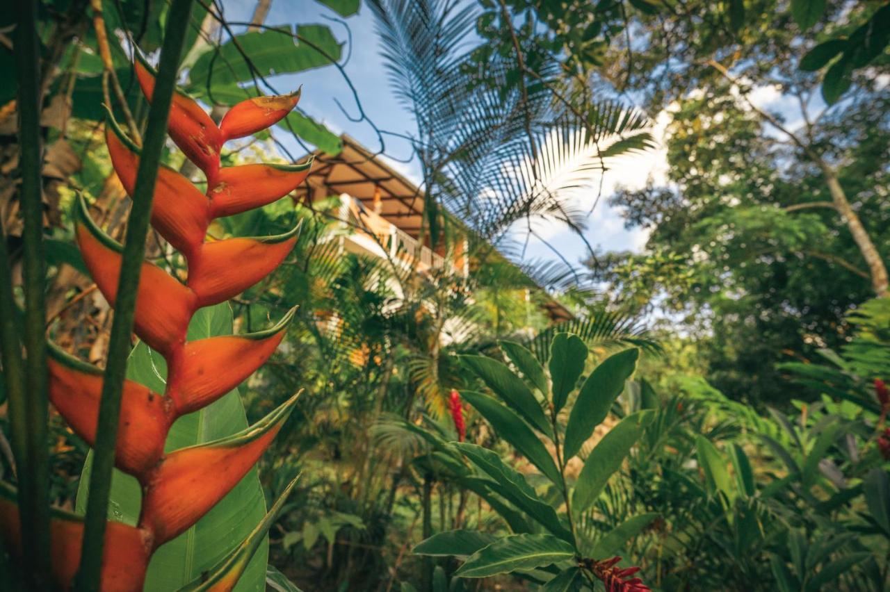 Huingos Eco Lodge Tarapoto Kültér fotó