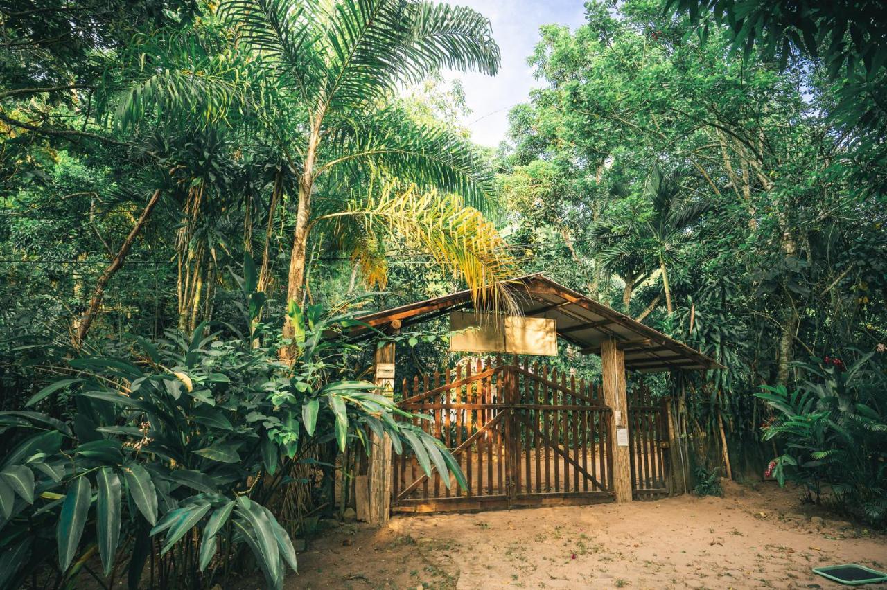 Huingos Eco Lodge Tarapoto Kültér fotó