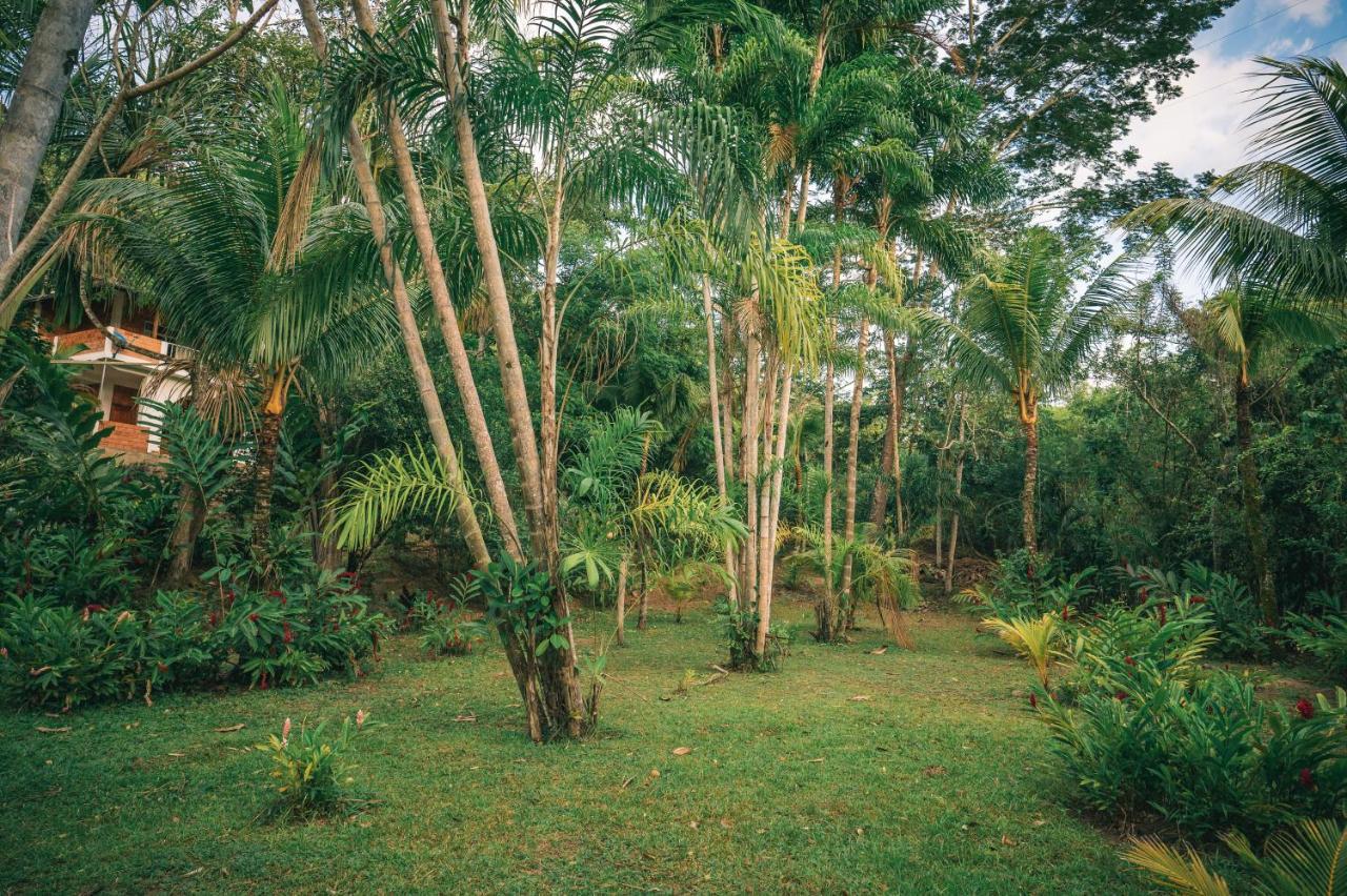 Huingos Eco Lodge Tarapoto Kültér fotó