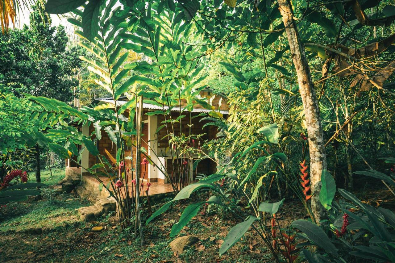 Huingos Eco Lodge Tarapoto Kültér fotó