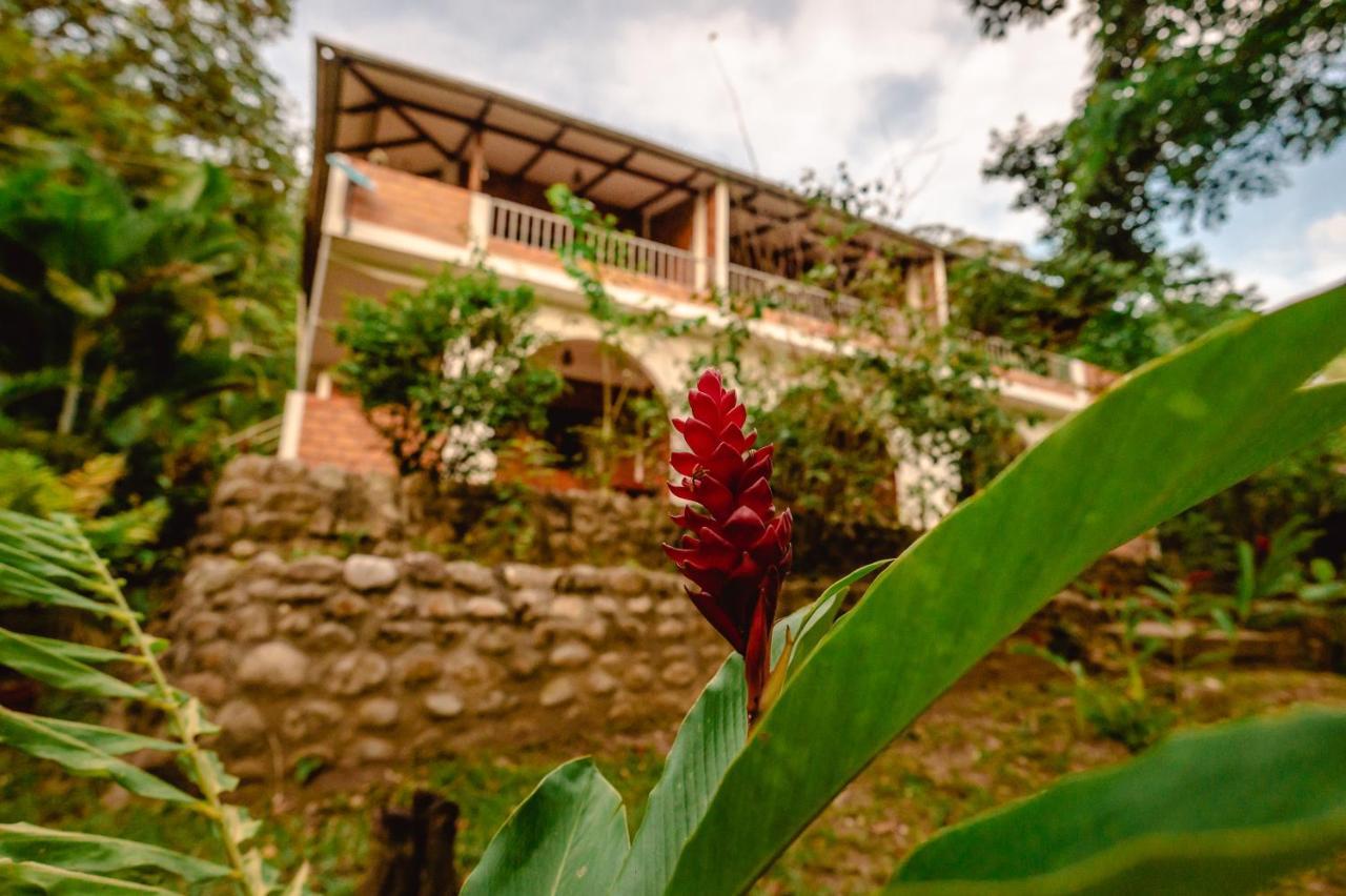 Huingos Eco Lodge Tarapoto Kültér fotó