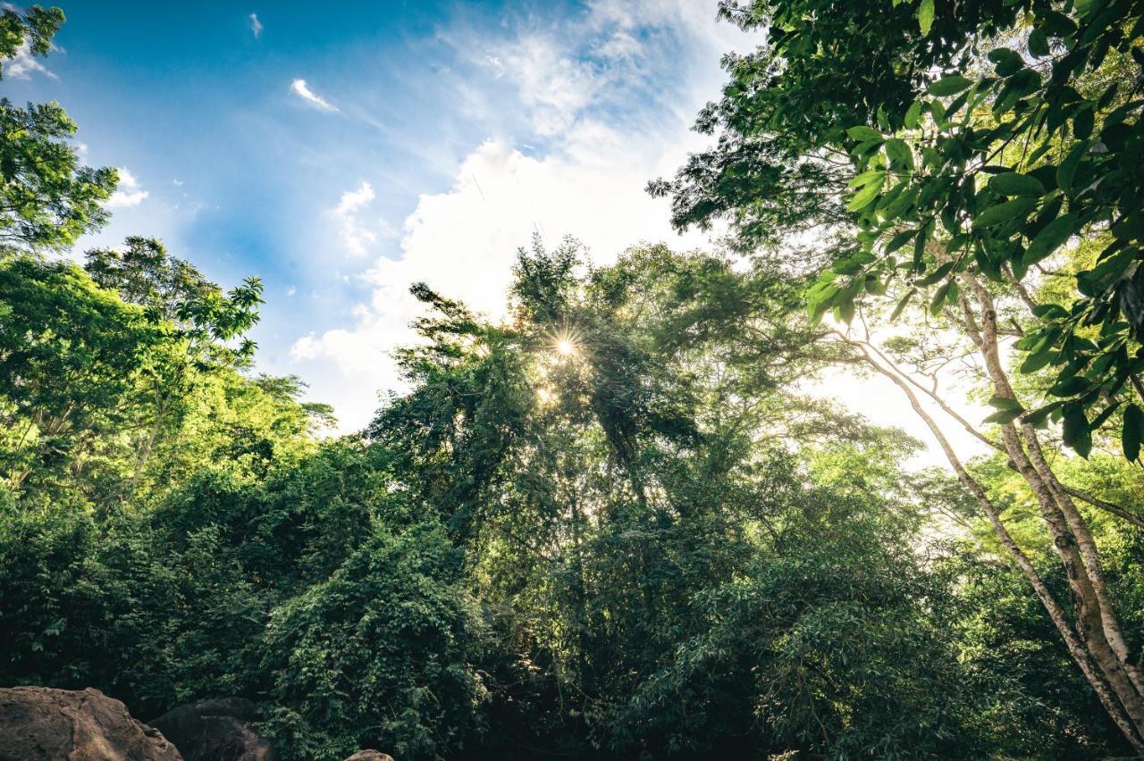 Huingos Eco Lodge Tarapoto Kültér fotó