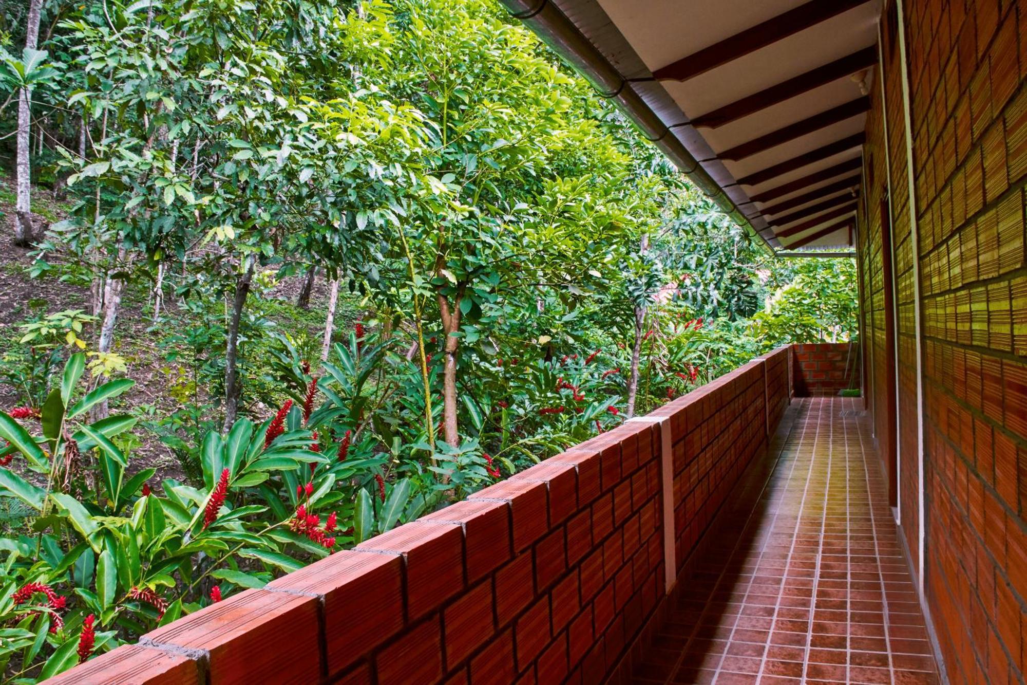 Huingos Eco Lodge Tarapoto Kültér fotó