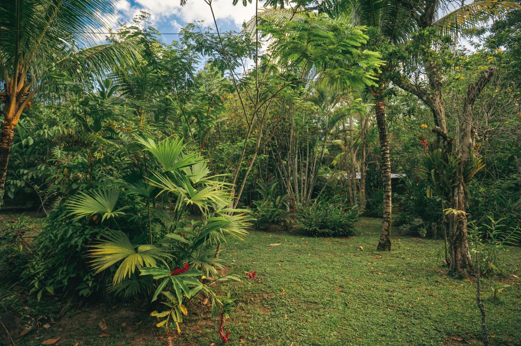 Huingos Eco Lodge Tarapoto Kültér fotó