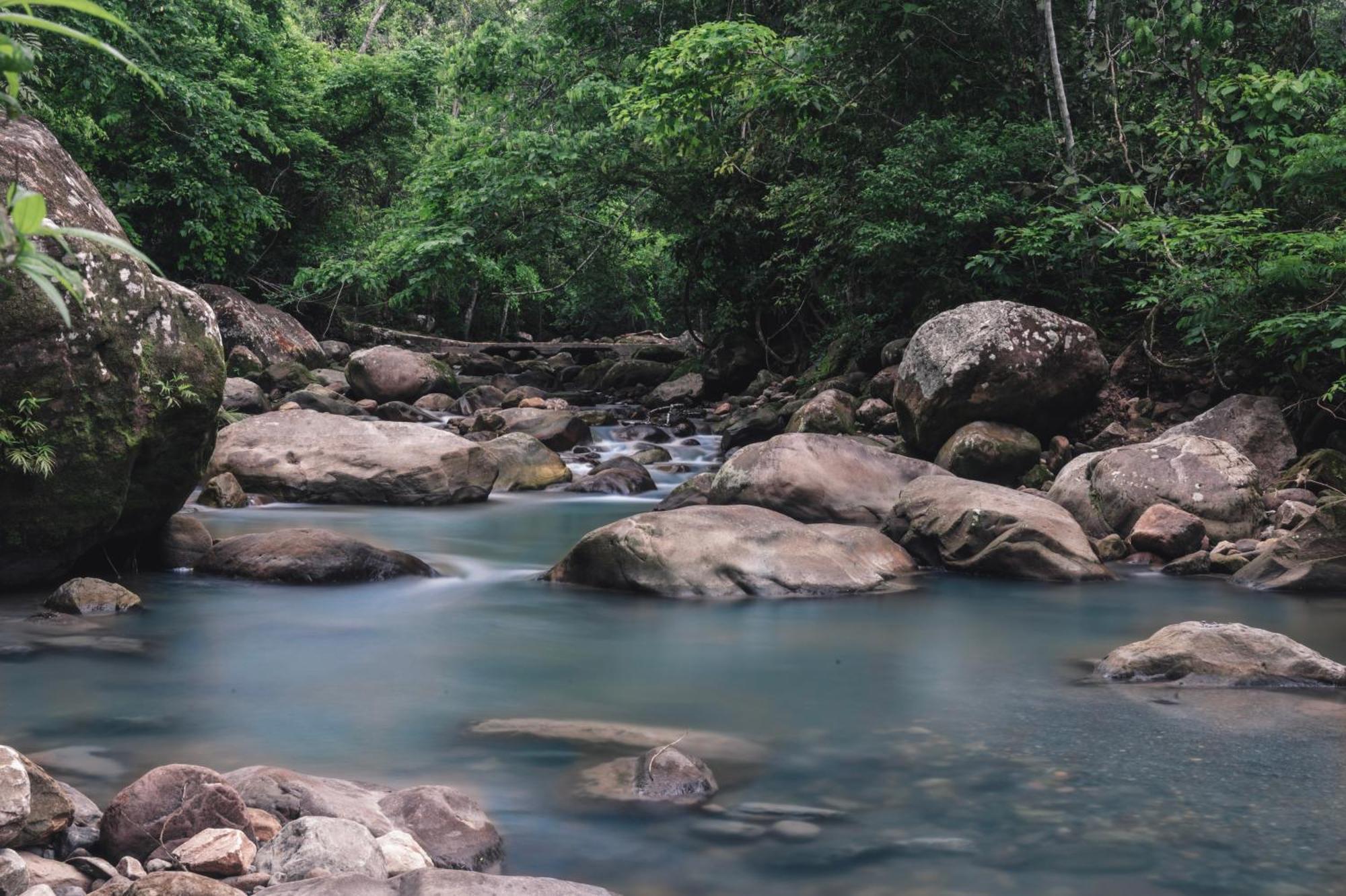 Huingos Eco Lodge Tarapoto Kültér fotó