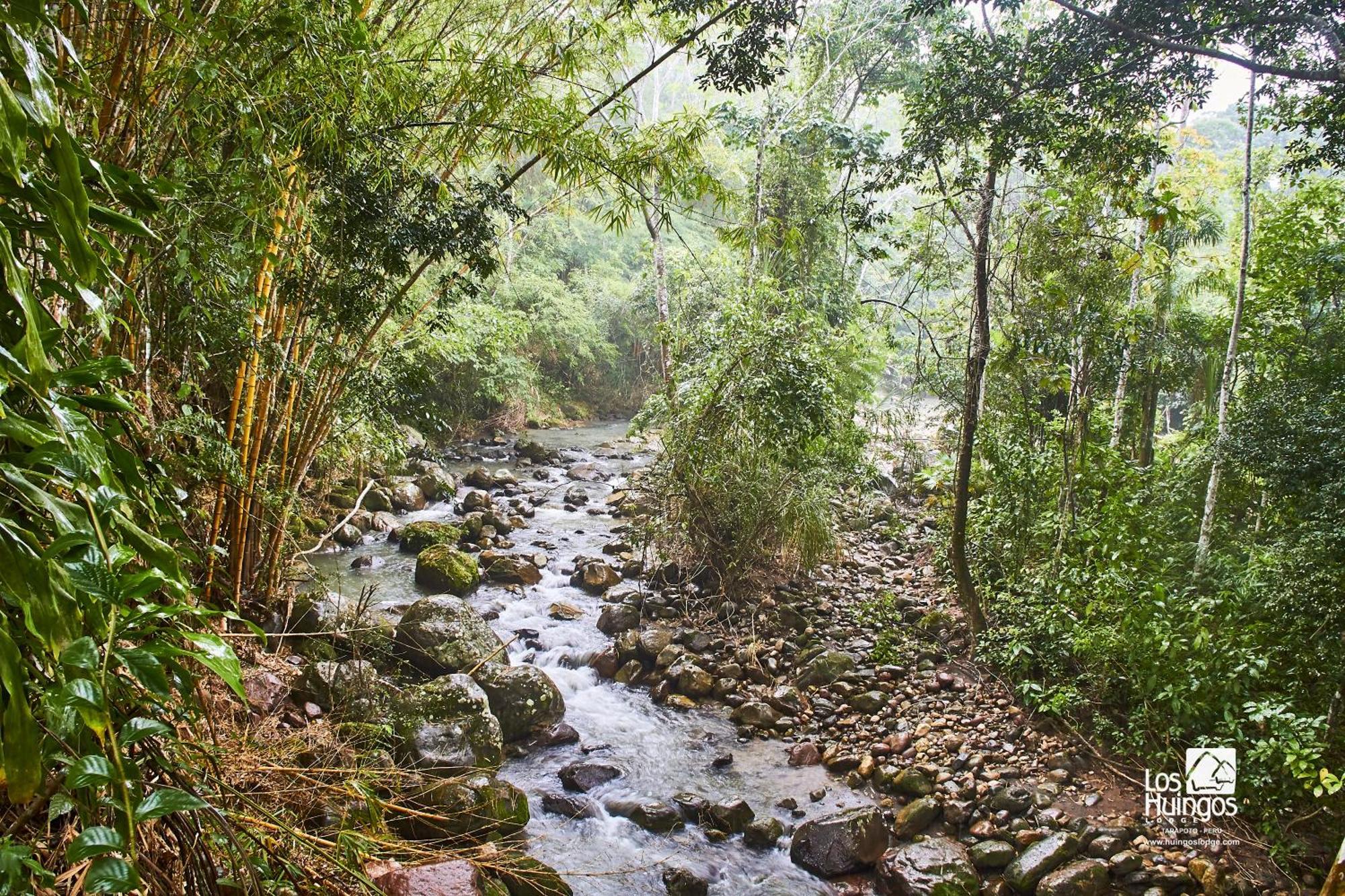 Huingos Eco Lodge Tarapoto Kültér fotó