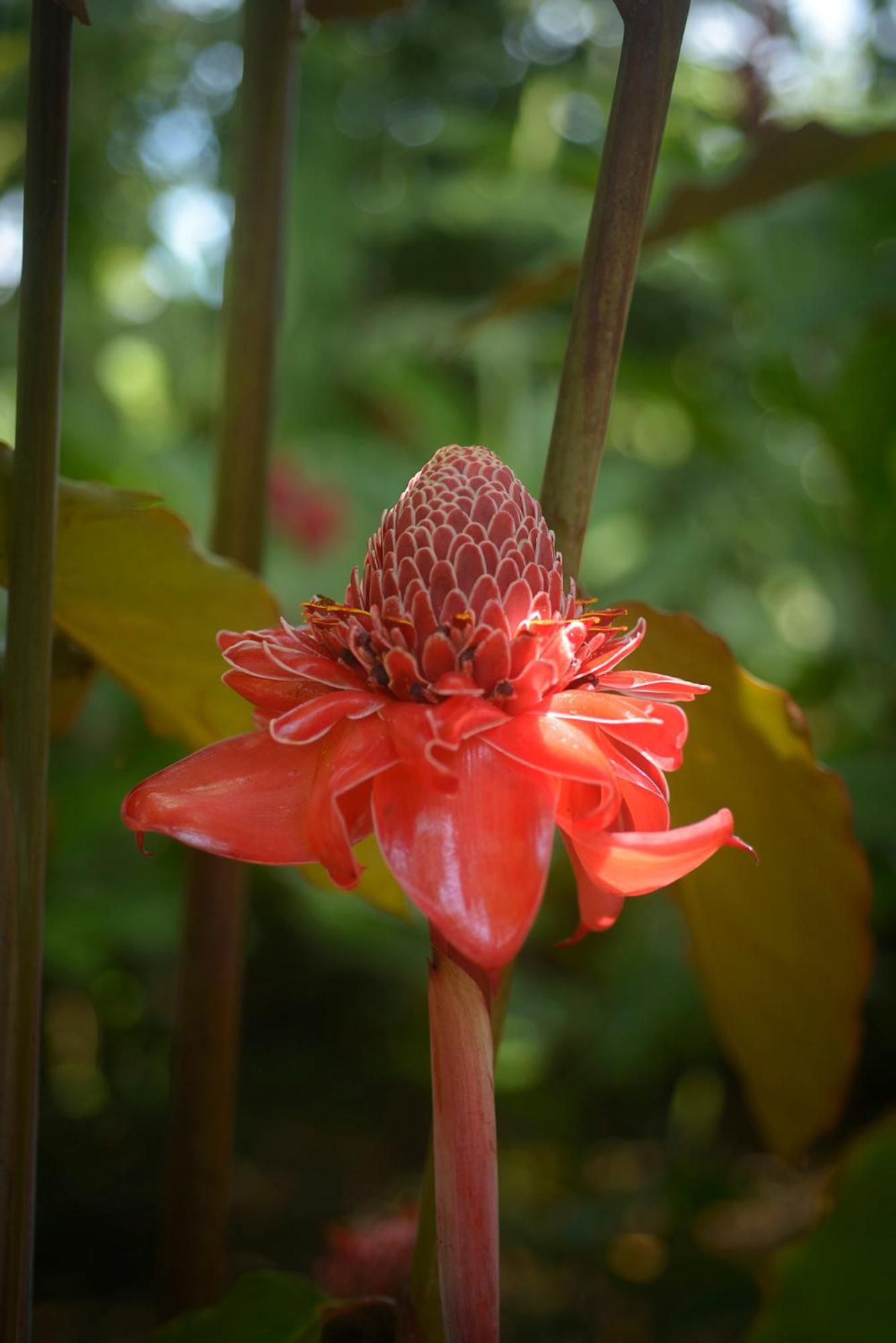 Huingos Eco Lodge Tarapoto Kültér fotó