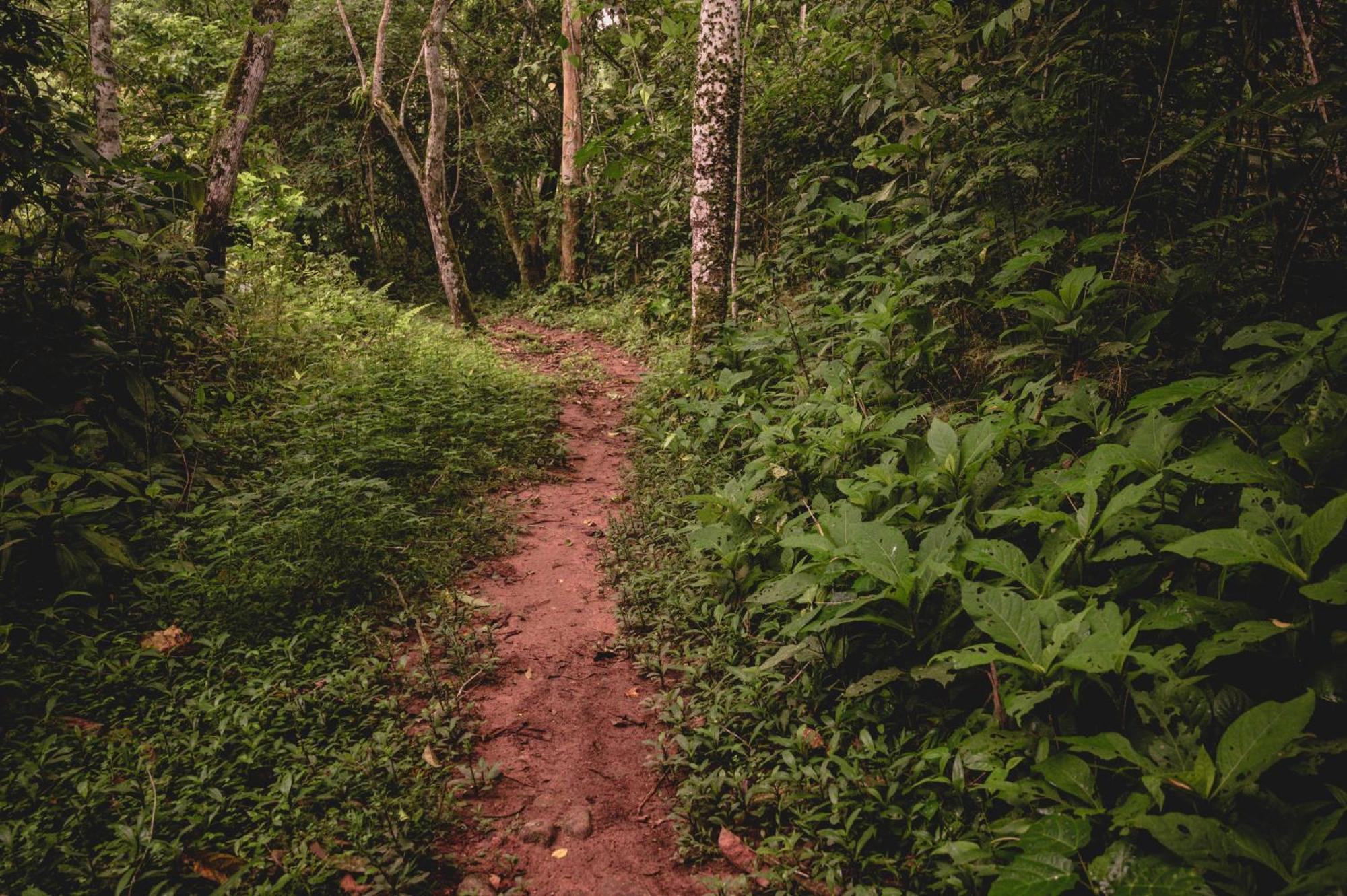 Huingos Eco Lodge Tarapoto Kültér fotó